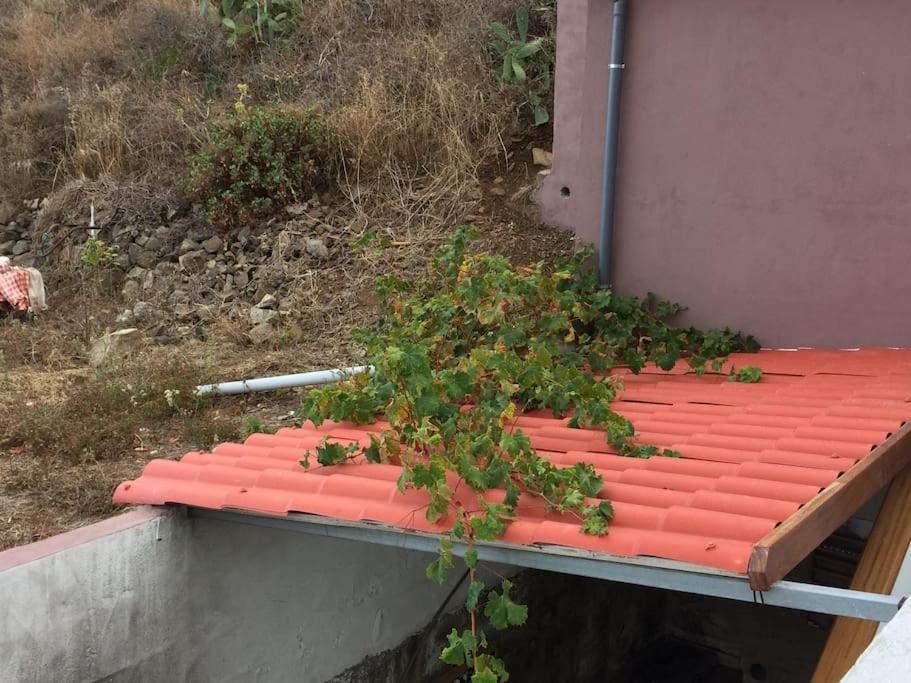 Casa-Solarium En La Naturaleza Σάντα Κρουζ Τενερίφης Εξωτερικό φωτογραφία